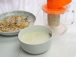 Mesin Pembuatan Susu Kedelai Manual | Jual Blender Pembuat Sari Kacang - 109 