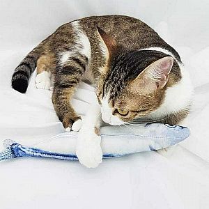 Mainan Kucing Boneka Ikan Catnip Pet Cat Play Doll Motif Karakter Toy – A492