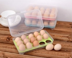 Kotak Telur Plastik Isi 15 Egg Tray | Jual Box Rak Telur - 196