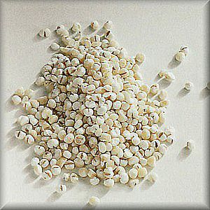Jali Jali Kemasan 10 gr Barley 10 gram Biji Jali Packing Plastik – A375
